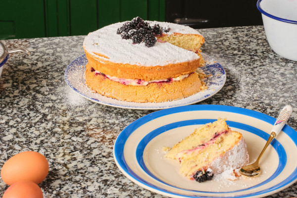 A slice of hedgerow sponge cake on a blue and white stripey plate